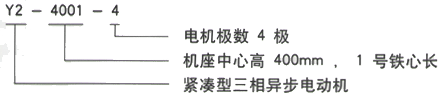 YR系列(H355-1000)高压YRKK500-8B三相异步电机西安西玛电机型号说明